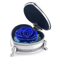 hey June Eternal Rose - Gifts for Mom, Preserved Rose Flower, Upscale Immortal Flowers Mother Gifts for Christmas, Valentines, Anniversary, Mother