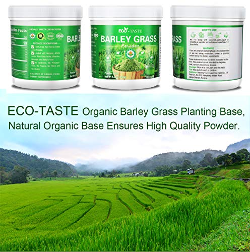 Organic Barley Grass Powder - 100% Pure Raw, 5.3oz (150g), Perfect for Beverage, Smoothie and Dessert, Rich in Proteins, Amino Acids, Vitamins, Minerals and Fiber