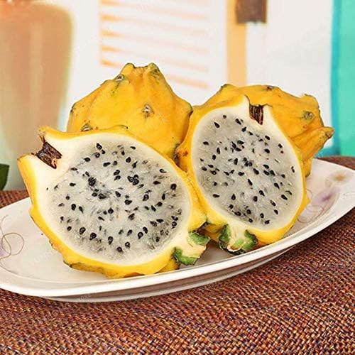 20Pcs Organic Pitaya Seeds Hylocereus Undatus Dragon Fruit Garden Yard Plant - Yellow Pitaya Seeds