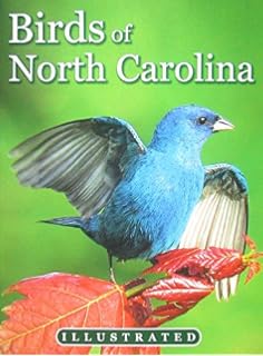 A Birders Guide To Coastal North Carolina John O Fussell - 