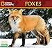 National Geographic Foxes 2019 Wall Calendar