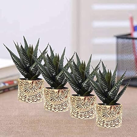 Lasaki Oxygen Big White Brown Gloss Ceramic Pots for Indoor Plants Planters Flower pots Outdoor Succulent Pot( Set of 4)