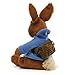 Gund Nickelodeon's Peter Rabbit Plush Toy, 11.5