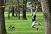Liv & Jane Co. Ninja Line Obstacle Course - 48' Set for Backyard Ninja Warrior Fun and Fitness for Kids - 8 Attachments with Tree Protectors Included (Black, Long)