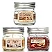 Hosley Set of Three 4 Ounce Mason Jar Candles - Your Choice of Fragrances (F-Assorted)