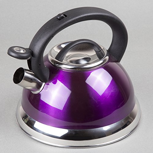 Creative Home Alexa 3.0 Quart Stainless Steel Whistling Tea Kettle Fast