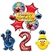 The Ultimate Sesame Street and Friends 2nd Birthday Supplies Decorations Balloon kit