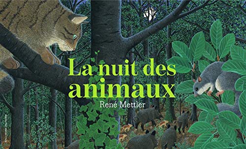 couverture de : La nuit des animaux
