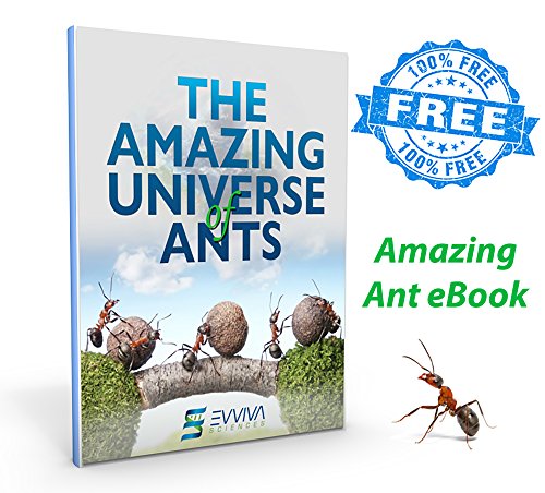 Ant Farm W/ LED Light. Enjoy A Magnificent Ecosystem. Great For Kids & Adults. The Best Ant Habitat W/ Enhanced Blue Gel. Evviva Educational & Learning Science Kits. Live Harvester Ants Not Included