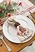 DII French Stripe Tabletop Collection Farmhouse Style Dining Table Linen Napkin Set, 20x20, Taupe/Red, 6 Piece