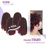 4 pack spring twist crochet braiding hair Ombre Colors Synthetic Hair Extensions TBUG