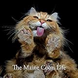 The Maine Coon Life (1) by 