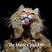 The Maine Coon Life (1) by 
