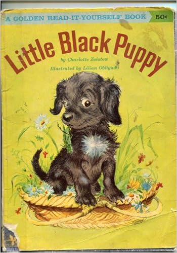 little black puppy
