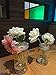 Shiny Metal Flower Frog Lid Insert for Transform Mason, Ball, Canning Jars, 6-pack (Regular Mouth)