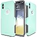 TEAM LUXURY [Defense-x Series Case for iPhone X & iPhone Xs, Dura Layer Shock Absorbing Technology Protective Phone Case 5.8 Inch - Mint/Gray