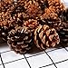 Pine Cones, JUSTDOLIFE 100PCS Christmas Pinecone Ornaments Xmas Tree Ornaments Natural Wood Christmas Tree Decoration Crafts Home Ornament for Home Party Holiday Decor(7 Ounce)