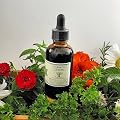 Sangre De Grado - Dragon's Blood - Croton Lechleri - Two Ounce Bottle.