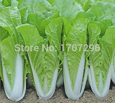 amazon envío gratis