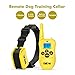 Colpet 330-Yard Range Rechargeable Waterproof Dog Shock Collar with Remote, Yellow