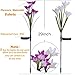 Outdoor Solar Garden Stake Lights - 2 Pack Solarmart Solar Powered Lights with 8 Lily Flower, Multi-color Changing LED Solar Stake Lights for Garden, Patio, Backyard (Purple and White)