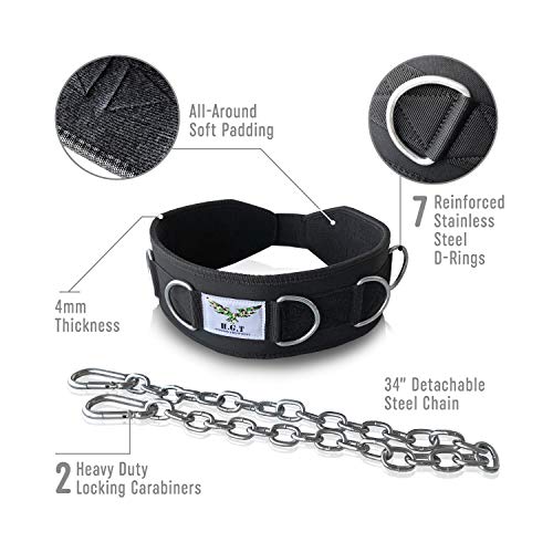 The x Bands Premium Weightlifting Belt with 7 Build-in Rings, Detachable Chain and Adjustment Strap- Weight Lifting, Dip Belt and Mobility Belt in One (Medium)