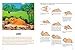 Origami Zoo Kit: Make a Complete Zoo of Origami Animals!: Kit with Origami Book, 15 Projects, 40 Origami Papers, 95 Stickers & Fold-Out Zoo Map