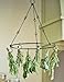 Gardener's Supply Company Hanging Herb Drying Rack | Sturdy Metal Ring Hanger for Herbs Flowers and Vegetables with 6 Hooks | 18