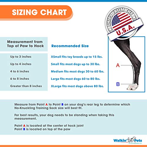 Walkin' Rear NoKnuckling Training Sock Helps Dogs Pick up Their Feet