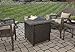 Endless Summer GAD15256SP Gas Outdoor Fire Table LP, Oil Rubbed Bronze