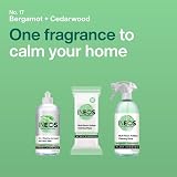 INEOS Hygienics Next-Gen Antibac Multi-Room Wipes Bergamot Cedarwood 60 view 2