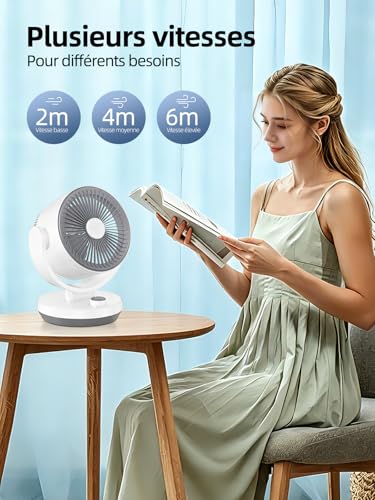 Silent Bedroom Fan, 40 W Ultra-Powerful 3D Turbo Air Circulation Fan for Living Room with 3 Speeds and 90° Adjustable Tilt, Desk Fan for Rooms of 20 m² (Rotary)