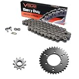 Aazon.co: Fits Honda TRX300EX 300EX 520-88 Gold O Ring Chain & Sprocket Silver 13/36