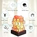 Greenclick Himalayan Salt Lamp Pink Rock Salt Lamps Night Light, Himalayan lonic Natural Salt Crystal Light Lamp with Wooden Base,Dimming Switch & UL-Listed Cord Best Gift Idea