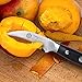 KESSAKU Tourne Peeling Paring Knife - 3 inch Bird's Beak - Dynasty Series - Razor Sharp Kitchen Knife - Forged ThyssenKrupp German High Carbon Stainless Steel - G10 Garolite Handle with Blade Guard