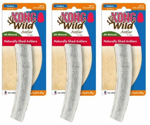 kong antlers