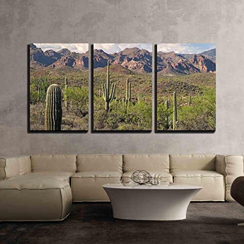 Desert Wall Art: Amazon.com