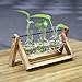 Dulcii Desktop Glass Planter Bulb Vase with Retro Solid Wooden Stand and Metal Swivel Holder for Hydroponics Plants Decor for Home Office Garden Wedding, Terrarium Wooden Plant Stand, 3 Bulb Vase