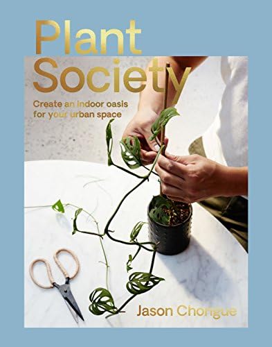 Ultimate Wonder Plants: Your Urban Jungle Interior: Schampaert