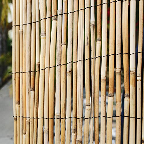 FOREVER BAMBOO Jumbo Reed Bamboo Screen Fencing Privacy Fence Backyard