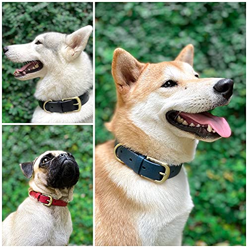 Tuff Pupper Classic Heavy Duty Dog Collar 10x Stronger Than Leather