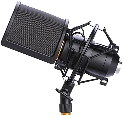 Microphone shock mount with pop filter.
