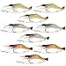 Goture Soft Lures Shrimp Bait Set, Freshwater/Saltwater, Trout Bass Salmon, 9 Piece