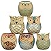 YLINGSU 2.5 Inch Owl Succulent Plants Pots Ceramic Set, Cactus Plant Pot,Mini Flower Pot, with A Hole Perfect owl Gifts (6 Pack)