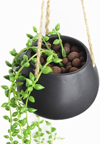 Moyishi Mini Decorative Ceramic Hanging Planter Flower Pot Water Planter Plant Vase (Black)
