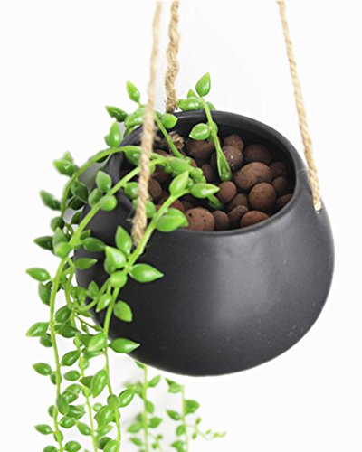 Moyishi Mini Decorative Ceramic Hanging Planter Flower Pot Water Planter Plant Vase (Black)