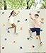 Jungle Gym Kingdom 22 Kids Extra Large Rock Climbing Holds for DIY Childrens Playground Wall | 2 Inch Mounting Hardware | Playset Install Guide