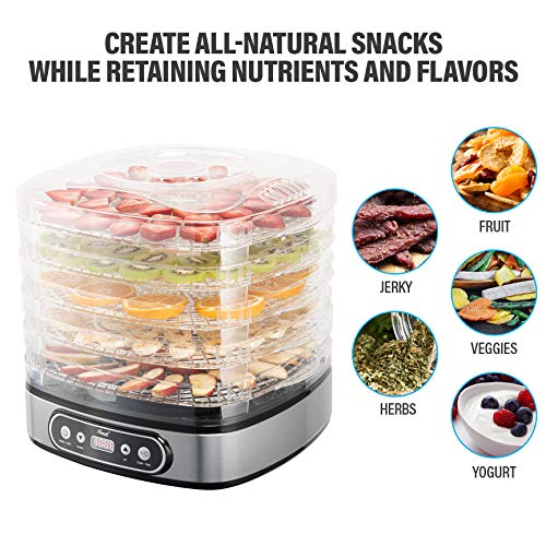 Rosewill RHFD19001 5 Tray Digital Food dehydrator Large Capacity