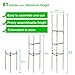 LEBOO 3-Pack(61inch) Vegetable Trellis Tomato Cages Plant Supports, Adjustable Garden Cages Tomato Plant Stakes for Vertical Climbing Plants, with 100 Cable Ties