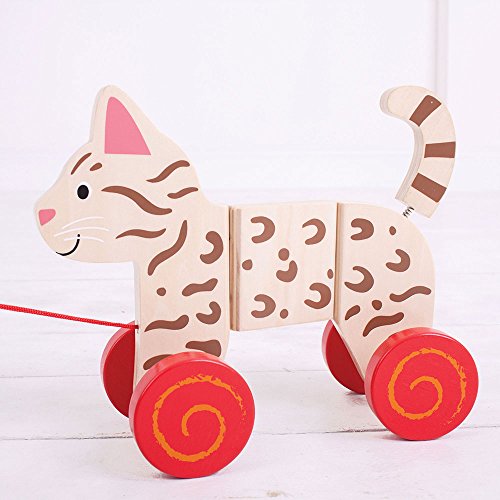 Bigjigs Toys Cat Pull Along